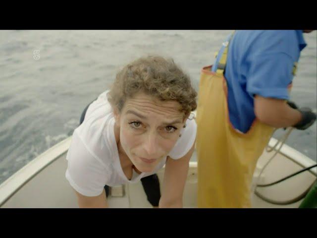 Alex Polizzi, a few little bra peeks