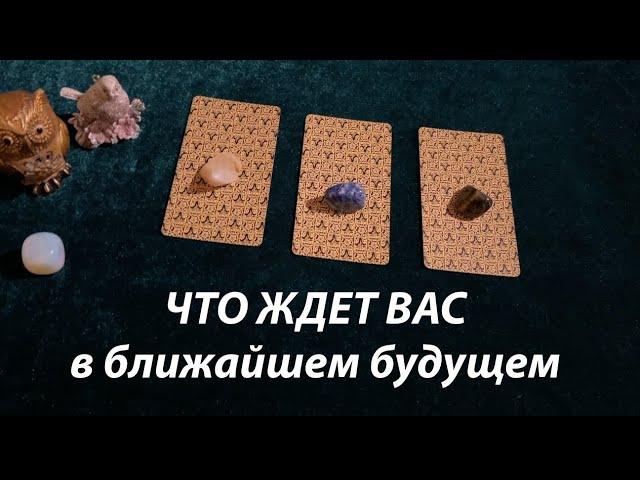 ⏳⏰Что Вас ждет в ближайшем будущем /Таро прогноз на неделю Тиана Таро