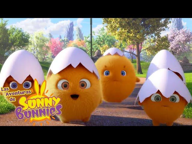 HUEVOS LINDO | Las Aventuras de Sunny Bunnies | Dibujos para niños