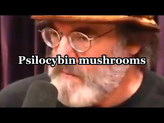 Paul Stamets CRAZY mushroom trip story #mushrooms #trip #paulstamets