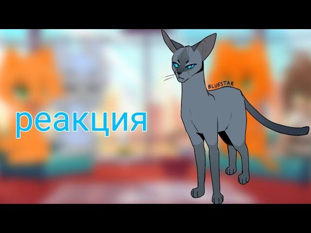 реакция Котов -воителей на тт