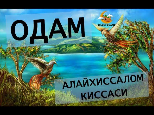 Одам алайхиссалом киссаси. Odam alayhissalom qissasi.