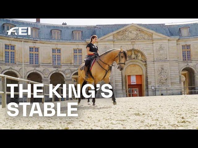 The surreal stables of the Château de Versailles | RIDE presented by Longines