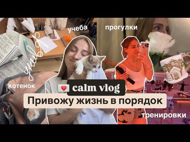 *vlog*  написала курсовую, учеба на 3 курсе // ДНЕВНИК СТУДЕНТКИ , моя рутина, будни в Москве