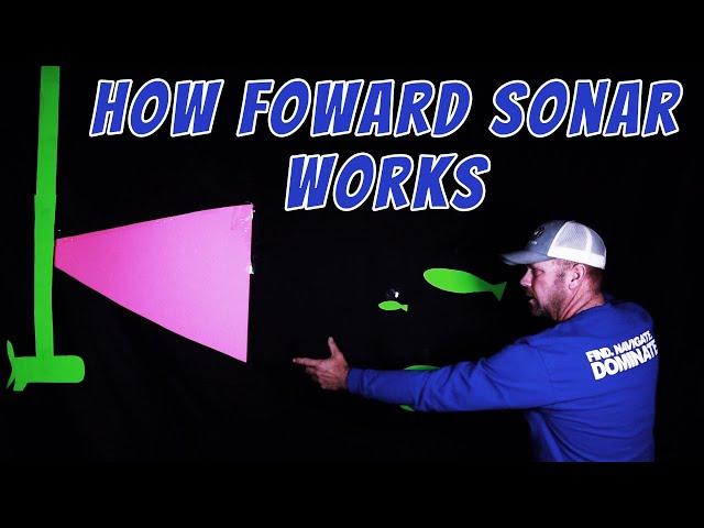 How to read Forward looking Sonar like a Pro!!!!!!