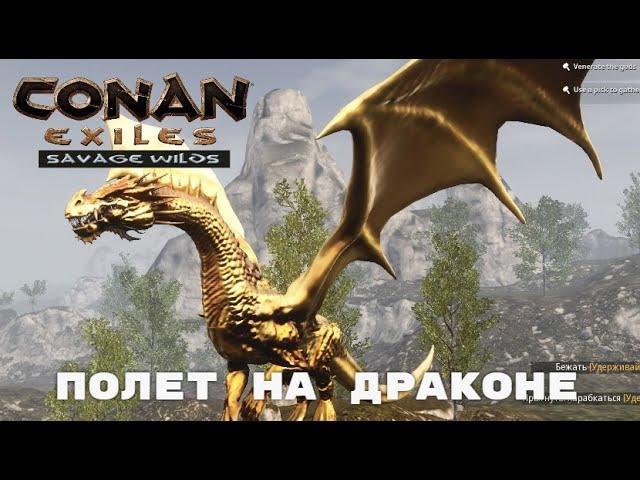 Conan Exiles Savage Wilds / Полет на Драконе