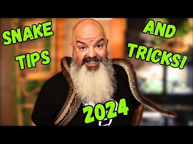 Snake Keeping Tips & Tricks, Sourced from the Fans!