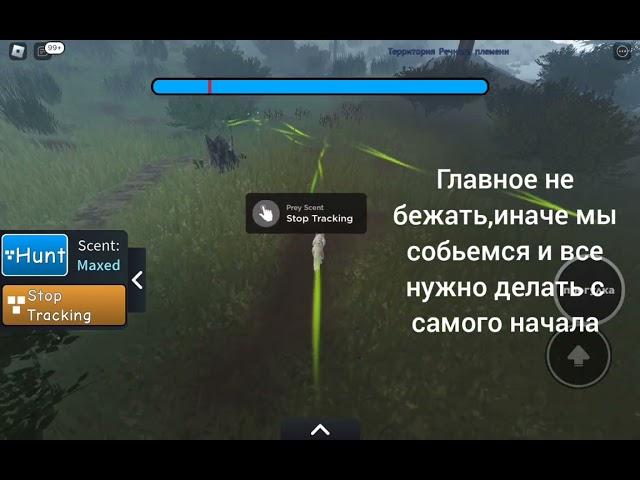 как охотиться в новой обнове в WCUE(Warrior Cats Unimation Edition)(#оле7#game#mystic#игра#doohrysi)