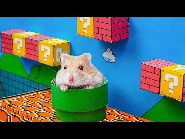 HAMSTER ESCAPE: Cute Mario maze for Hamsterious  in Hamster Stories  Hamsterious