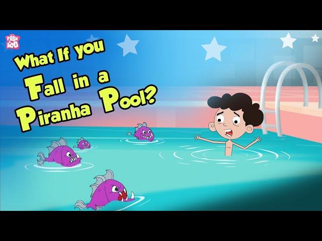 What If You Fall In A PIRANHA Pool? | PIRANHA | Dr Binocs Show | Peekaboo Kidz