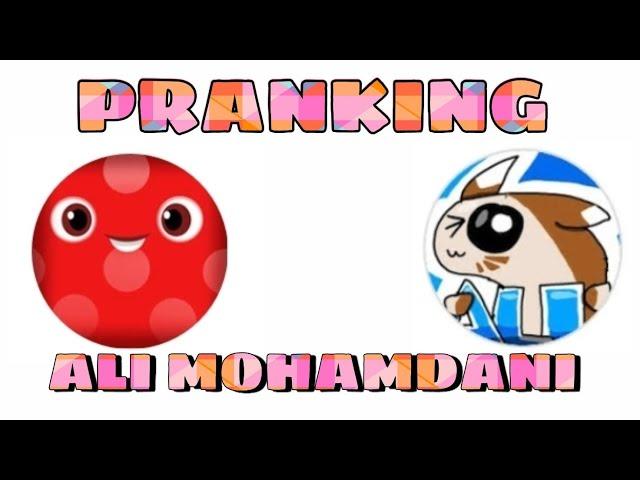 Pranking Ali Mohamdani With A Secret Account