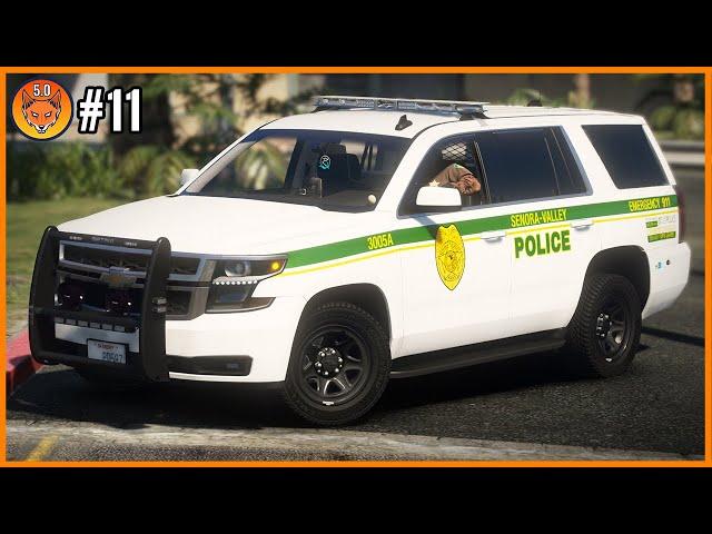 AN AMAZING PATROL - GTA 5 Police RP (FiveM) - MLRP #11
