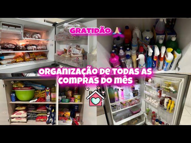 ORGANIZEI TODAS AS COMPRAS DO MÊS | FREEZER E DISPENSA OK LIMPEI TODA COZINHA. Lar da Elzi