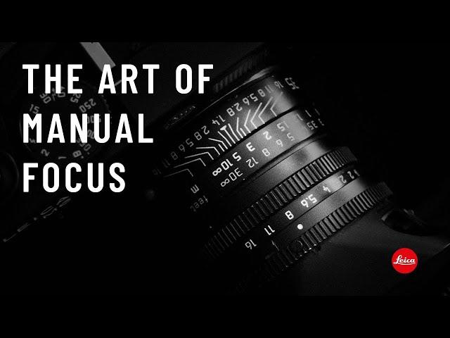 My focusing techniques for manual lenses and what I look for when buying a manual lens