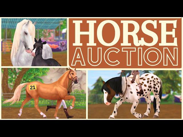 Horse Rescue Auction: Did I Bring a Horse Home? | Star Stable RRP