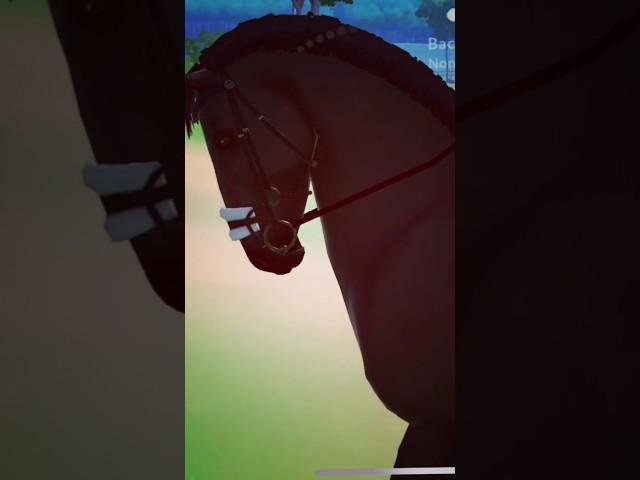 Test riding a horse #horse #equinegame #equestrain #horsefan #edit