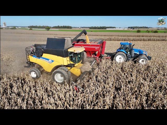 Corn Harvest 2024 near Versailles Ohio | New Holland Combine