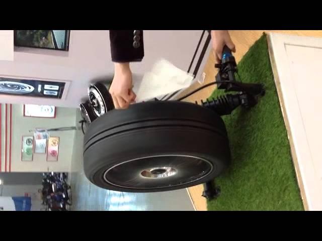 QS Motor BLDC Electric Car In-Wheel Hub Motor