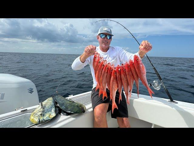 Giant Bait Balls get Attacked by Sharks! (Snapper and Mahi Mahi Catch Clean Cook)