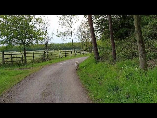 Fahrradtour mit Miles ‍️