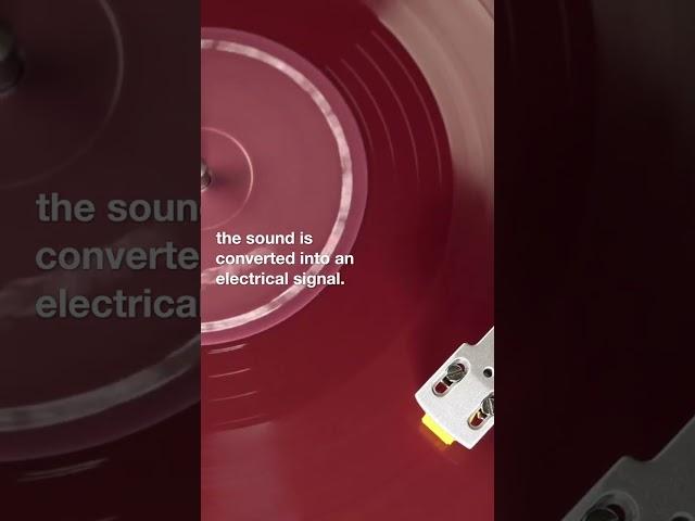 How Do Vinyl Records Work? Check This Nostalgia-Favorite #shorts