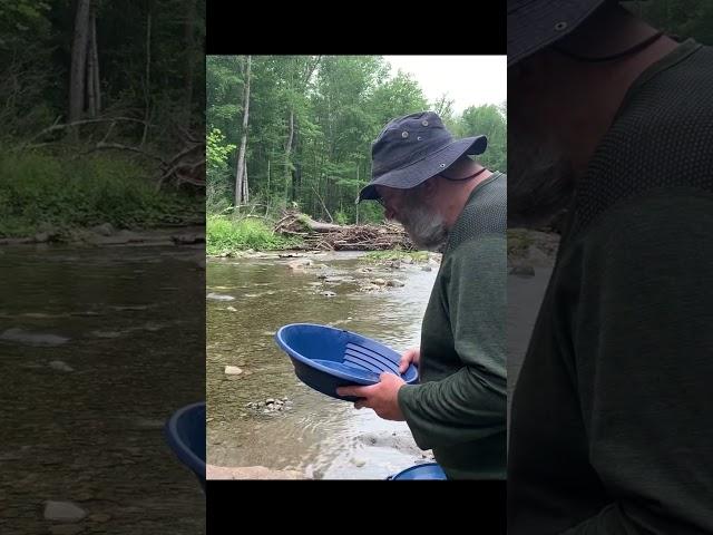 Is This a Good Pan? #goldprospecting #shorts #goldpanning #outdoors