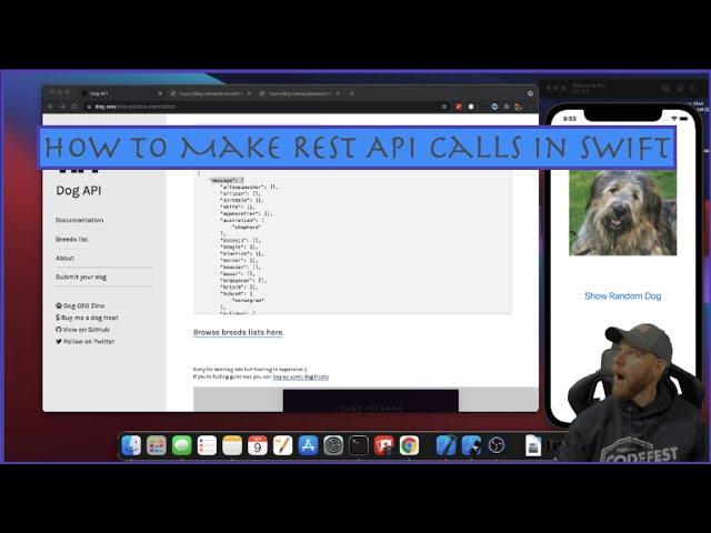 How to Make a REST API Call in Your Swift App