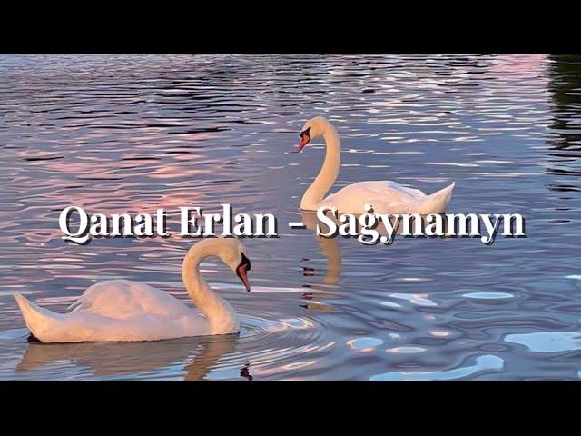 Qanat Erlan - Saģynamyn / Қанат Ерлан - Сағынамын // караоке / текст песни