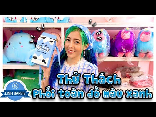 Thử Thách Phối Toàn Đồ Màu Xanh Dương I Linh Barbie Vlog