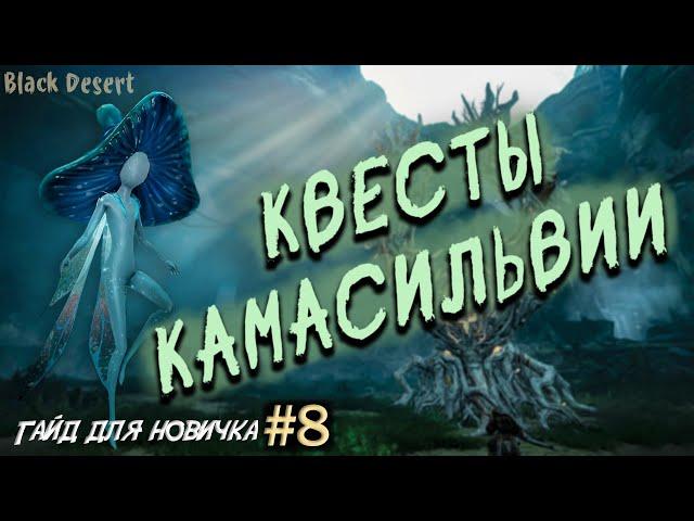 №8 Свитки Удачи, Снаряжение на транспорт, Квесты камасильвии Гайд для новичка в Black Desert 2023