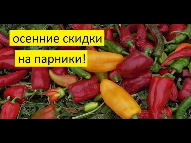 Парник Агрощит оказался надежным, подвожу итог после 2 лет использования.