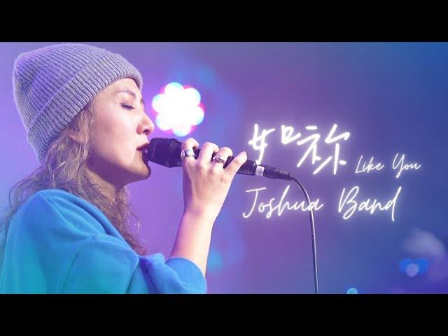 Live Worship【如祢 / Like You】約書亞樂團 Joshua Band