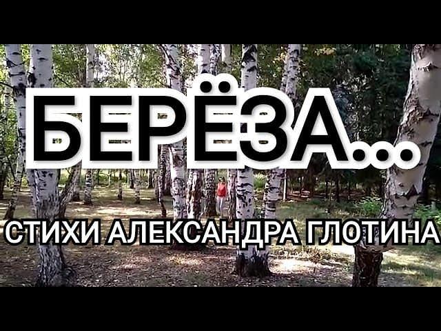 Берёза...Стихи Александра Глотина. Читает Валентина Приставко. #shorts.