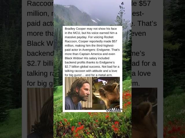 Bradley Cooper Made HOW MUCH as Rocket?! MCU Salary Shocks Fans!