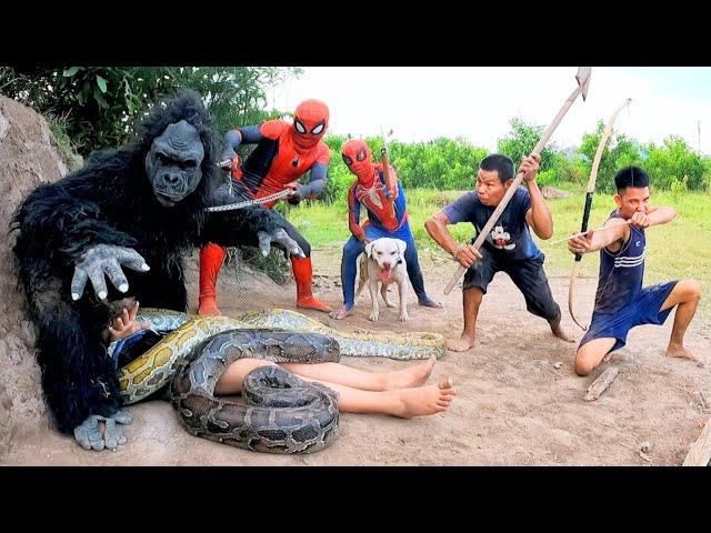 Great Battle: Brave Spider Man and Pitbull Dog Confront Ferocious King Kong Monster Save The Girl