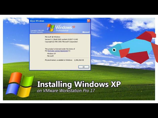Installing Windows XP on VMware Workstation Pro 17