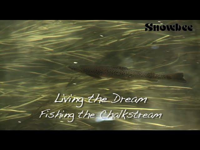 Ultimate Chalkstream Fly Fishing for Big Trout, small stream (WildernessTV)