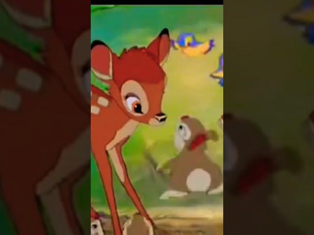 BAMBI 