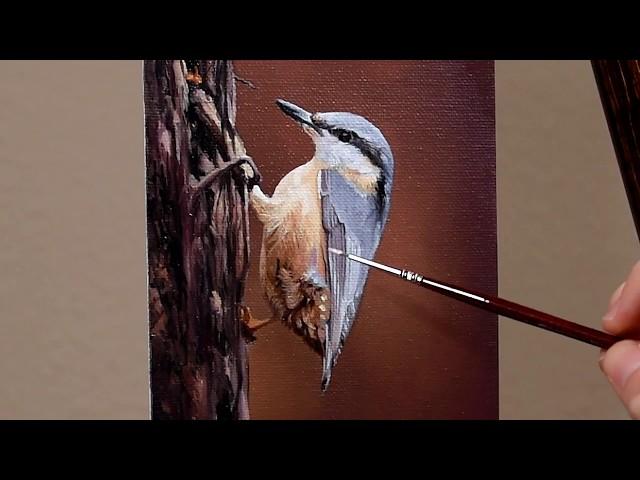 Oil Painting Demo - Nuthatch - 5"x7" canvas panel