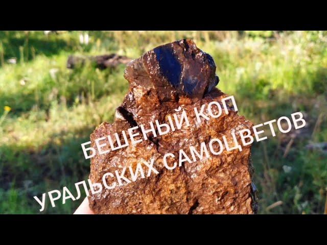 БЕШЕНЫЙ КОП уральских САМОЦВЕТОВ!