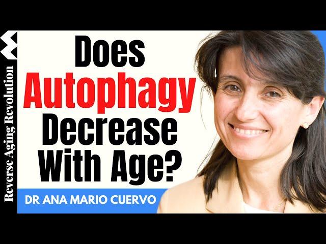 Does AUTOPHAGY Decrease With Age?  | Dr Ana Maria Cuervo Interview Clips