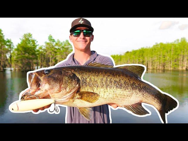 Catching BIG Bass on BIG TOPWATER! (Lake Fishing)