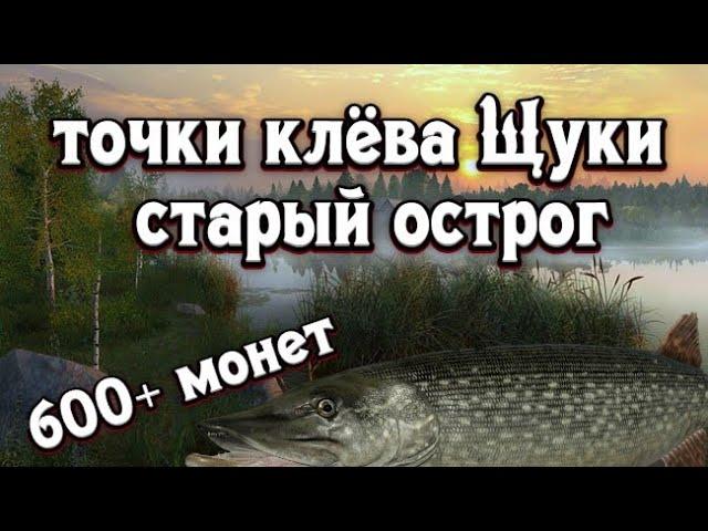 РР4 | Точки клёва щуки | Трофей | Старый острог | 600+ монет