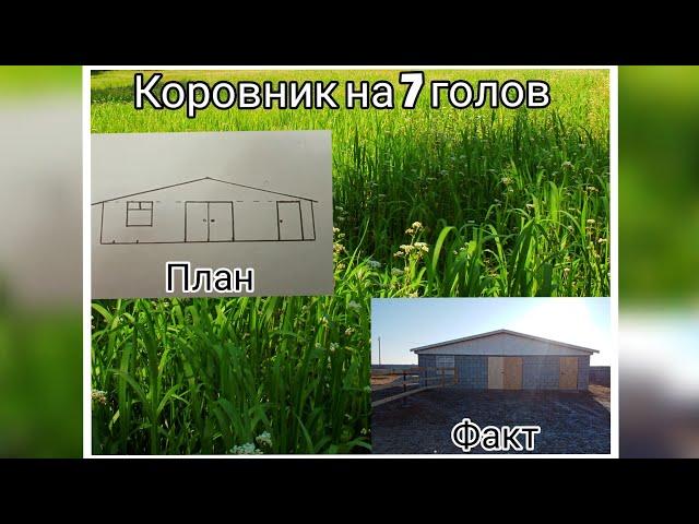 Обзор коровника на 7 голов. Сарай для КРС.