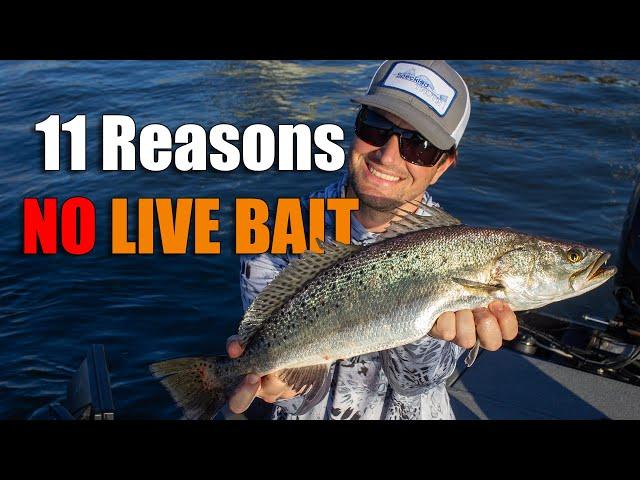 11 Reasons Why I Don't Use Live Bait To Catch Speckled Trout & Redfish in Louisiana