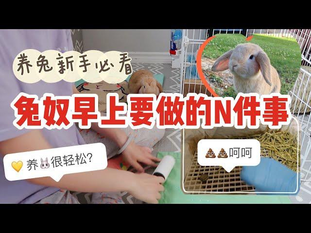 新手养兔必看| 养兔子比养猫狗轻松？看看我早上怎么过的如何打扫兔笼换厕所？兔子会上厕所吗？在外面拉了怎么办？垂耳兔每天吃什么？幼兔粮推荐Rabbit morning cleaning清理兔笼厕所妙招