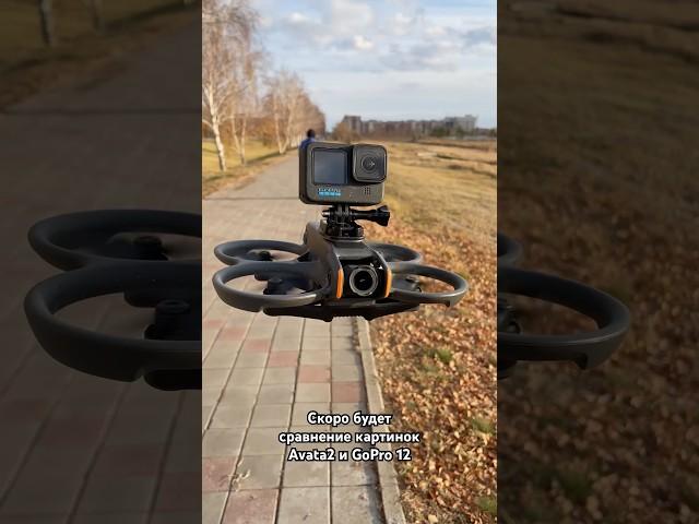 Avata2 и GoPro 12 #drone #fpv #dji