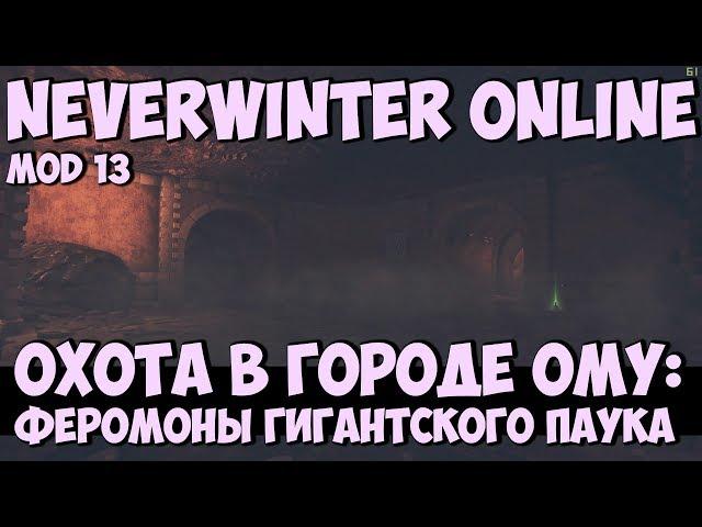 Охота в Городе Ому: Феромоны Гигантского Паука | Neverwinter Online | Mod 13