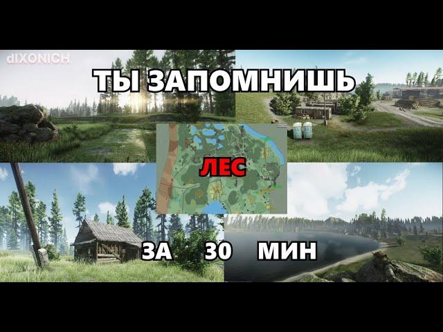 Как выучить КАРТУ ЛЕС в 2024! Гайд для новичков. Выходы чвк. tarkov * eft * тарков