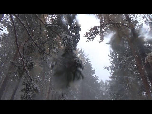 Рома Жуков - Первый снег